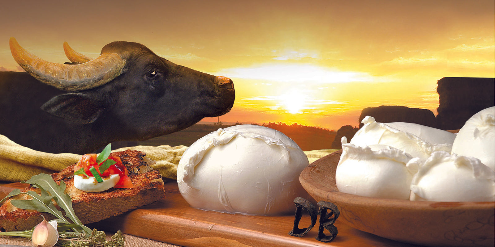 Benvenuti sul nuovo Negozio Online "IL PARCO"